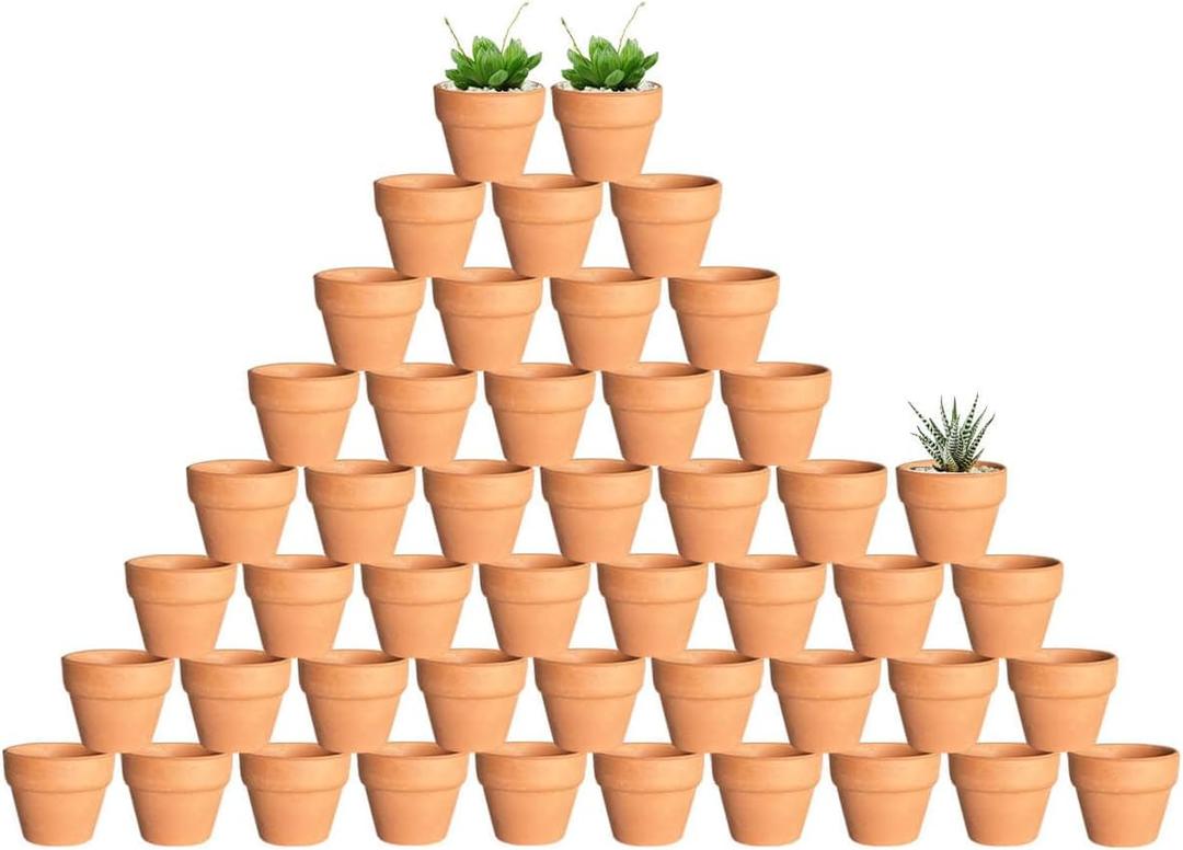 2 Inch Terracotta & Clay Plant Pots with Drainage Hole - 48 Pack Mini Terra Cotta Pots for Indoor Outdoor Plants, Breathable Unglazed Classic Planter Pots for Succulents, Herbs, Flowers