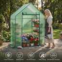 Greenhouse for Outdoors,55 x 28 x 78'' Small Greenhouse,Walk in Plant Greenhouses with 3 Tiers 6 Shelves,Heavy Duty with Durable PE Cover,Heavy Duty Plant Greenhouses for Garden and Backyard