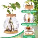 6 Pcs Plants Propagation Station Separated Desktop Glass Plant Terrarium with Wood Lid and Tray, 3 Sizes Hydroponics Plants Jars Water Planting Vases for Indoor Home Tabletop Decor