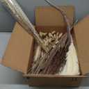 xin's convey 110pcs Dried Pampas Grass, (Vase Not Included),Dried Flower Bouquet, Reed Grass Bouquet for Boho Floral Home, Wedding Party Centerpiece, Rustic Farmhouse Decoration.(Brown)