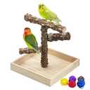 BNOSDM Portable Bird Perch Stand with Potty Tray, Natural Wood Tabletop Training Gym Parrot Playground Toy for Budgies, Cockatiels, Lovebirds,Conures Canaries