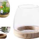 Round Fish Tank, Betta Fish Bowl Glass, Goldfish Bubble Bowl, Glass Pot for Plants, Hydroponic Plant Aquarium Fishbowl Detachable Wood Base, Small Terrarium Flower Vase, Centerpieces Desktop Decor