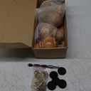 Wood Couch Legs 5 inch Sofa Legs for Furniture Set of 4, Natural Replacement Wooden Legs Furniture Feet Table Cabinet Dresser Bed Frame Legs