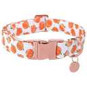 St. Patrick's Dog Collar, Lucky Clover Pet Collar with Quick Release, Comfortable Adjustable Shamrock Puppy Collar for Small Medium & Large Dogs