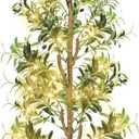 TNELTUEB Faux Olive Tree 6FT - Indoor Tall Artificial Olive Trees with Planter & Basket and Lights, Artificial Plants with Natural Wood Trunk and Realistic Fruits for Home Living Room Office Decor