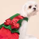 Fitwarm Christmas Dog Costume Dress, Funny Dog Holiday Outfit, Doggy Clothes for Small Dogs Girl, Pet Apparel, Green, Red, XXS (Gift)