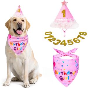 Dog Birthday Bandana Set,Party Supplies, Birthday Decorations, Dog Boy Girl Birthday Party Hat with Bandana and Numbers for Large Medium Dogs Pet (Pink)