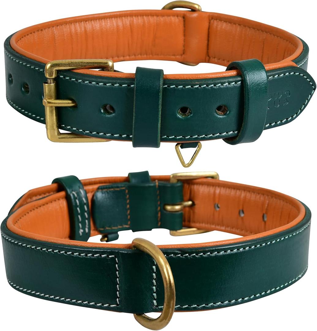 Genuine Leather Dog Collar 1" Wide Full Grain, Padded, Heavy Duty with Brass Buckle for Dogs (Medium (Fit Neck Size 14.5"-18.5"), Teal Green)