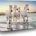 Beach Horse Canvas Wall Art: White Elegant Equines Photo Prints Graceful Seaside Animals Office Painting Ocean Steeds Running Picture Coastal Wildlife Galloping Artwork for Bedroom Bathroom