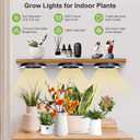 Full Spectrum Grow Light for Indoor Plants, 216 LEDs Halo Plant Light with Auto On/Off Timer (4/8/12H), 10-Level Brightness, 3 Lighting Modes, for Small Plants & Seedlings (Black, Tri Head)