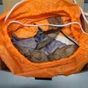 DomKom Tree Halloween Inflatable Blow Up Decorations, Dia de Los Muertos 8FT Day of The Dead Spooky Tree with Catrina Skull and Hairless Dog, Built-in LEDs for Holiday, Garden Lawn Yard Patio Dcor