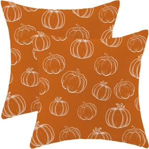 Fall Pillow Covers 20x20 Inch Set of 2 Burnt Orange White Pumpkin Throw Pillows Case,Thanksgiving Autumn Outdoor Decorative Linen Farmhouse Harvest Decor Cushion Covers for Home Sofa Bed Couch 