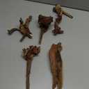 majoywoo Natural Small Coral Driftwood for Aquarium Decor Fish Tank Decorations, Assorted Driftwood Branch 4.5-7.5" 5 Pcs, Reptile Decor