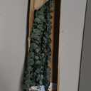 10 Pcs Dried Eucalyptus Stems 17" Real Eucalyptus for Shower Hanging 100% Made from Fresh Leaves, Wedding, Home, Farmhouse, DIY Spring Decor Bathroom Decor Home Decor