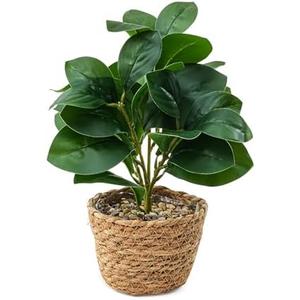 Ewtogift Fake Eucalyptus Plants 14.5 Inches Tall Artificial Eucalyptus Indoor Plants with Green Lifelike Leaves in Black Gray Pot for Home House Outdoor Decor Porch Pots Planter Decorations (Plant A)