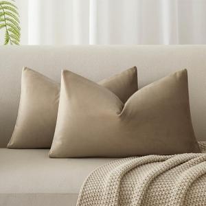 JUSPURBET Couch Pillow Covers Set of 2 Decorative Velvet Throw Pillow Covers Cases for Living Room Bedroom Home Decor Soft Lumbar Cushion Covers with Hidden Zipper for Sofa Bed,Stone,12x20 inch