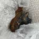 Hand Blown Glass Conch Statues, Gray and Amber Glass Art Figurines, Conch Shells for Coastal Home Decor, Living Room TV Stand and Bookcase Decor, Bathroom Shelf Tops and Cabinet Decor