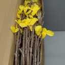 XunYee 12 PCS Fake Forsythia Long Stems 39.5" Artificial Forsythia Branches Yellow Forsythia Branches Artificial Orchids Flower Branches Faux Forsythia Stems for Home Wedding Indoor Outdoor Decoration