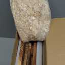 MOONITY Fire-Treated Cedar Owl House  14" x 9" x 9" All-Season Nesting Box for Screech, Kestrel & More  Durable, Weatherproof & Easy to Install (Brown)