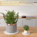 Plant Saucers for Flower Pots, 3 Pack 6 Inch Plant Pot Saucers, Round Water Catcher Drip Tray, Diatomaceous Earth, Dry Instantly, Keep Clean, Bottom Drain Plate Dish for House Plants