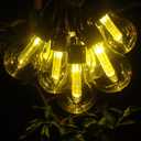Vintage Christmas Lights Battery Powered 6.5Ft 10 LED Edison Hanging Lights with Remote Timer, Indoor Fairy Lights Shatterproof Outdoor Patio String Lights for Bedroom Garden Camping Christmas Decor
