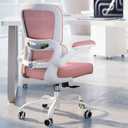 TRALT Ergonomic Office Chair - Desk Chair with Adjustable Lumbar Support Computer Chair - Mesh Comfy Chair with Flip-up Armrests - Gaming Chairs for Adults Home Office (Leather, Pink)