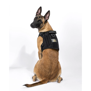 Dog Tactical Vest Velcro, No Pockets