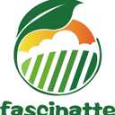 2 x fascinatte 115-8436 290-943 Traction Cable for Toro 20330 20330C 20331 20331C 20350 20350B 20351