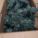 9 Modes LED Pre-Lit Blue Artificial Slim Pencil Christmas Tree - 195cm