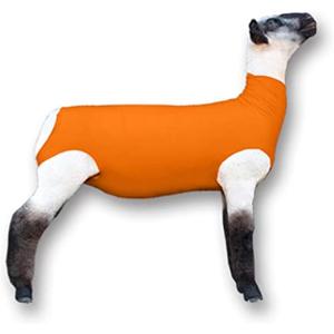 Show Pro Orange Spandex Lamb Tube for Show Sheep & Lamb - Show Livestock Supplies: Sheep Covers & Blankets (Medium)