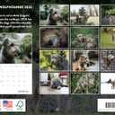 Irish Wolfhound Calendar 2026 Monthly Wall Calender 12 Month | American Made In The USA