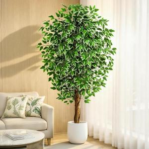 6.2ft Ficus Artificial Trees with 3 Natural Curved Trunks, 74" Tall Lush Faux Tree for Home Decor Indoor, Green Lifelike Fake Ficus Tree 1pcs