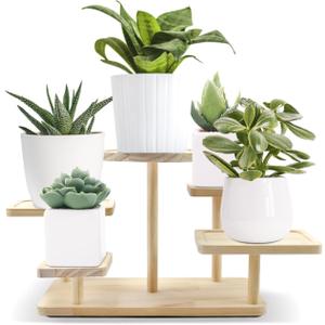 Small Table Top Plant Stand Indoor 5 Tier Wooden Tabletop Adjustable Mini Plant Shelf for Desk, Desktop, Outdoor Patio Garden Decorations