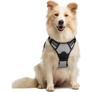 rabbitgoo Dog Harness No Pull with 2 Leash Clips, Adjustable Soft Padded, Reflective Oxford No Choke Pet Vest with Easy Control Handle for Medium Sized Dogs, Grey, M (Gray)