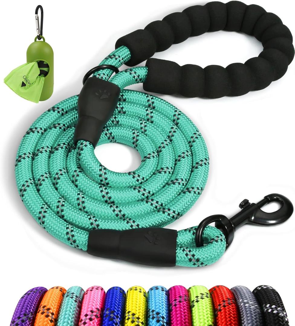 Taglory Rope Dog Leash 6 FT with Comfortable Padded Handle, Highly Reflective Threads Leash for Medium Large Dogs, 1/2 inch, Turquoise