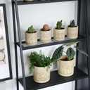 Gepege 4 Inch Small Indoor Succulent Ceramic Planter Pot with Drainage Holes and Saucers for Plants, Birthday for Women Mom (White)