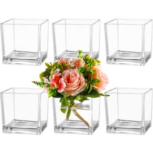 Square Glass Vases Set of 6, 4" x 4" x 4" Square Flower Vases for Centerpieces, Clear Vase for Flowers, Small Vase for Wedding, Party, Home Office Decoration