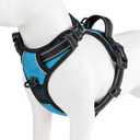 PHOEPET No Pull Dog Harnesses for Small Puppies Reflective Adjustable Front Clip Vest with 2 Metal Leash Attachment Hooks Soft Handle(XS, Blue)