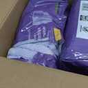 Amazon Basics Postpartum Incontinence Underwear for Women, Maximum Absorbency, Disposable, Bladder Leak Protection, Odor Control, Comfortable Fit, XX-Large, Lavender, 42 Count (3 Packs of 14)