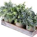Set of 3 Mini Potted Artificial Eucalyptus Plants Faux Rosemary Plant Assortment with Wood Planter Box for Indoor Office Desk Apartment Wedding Tabletop Greenery Decorations 8.7" Tall