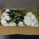 Hananona Artificial Roses in Bulk, Fake Velvet Silk Roses Realistic Rose for Wedding Centerpieces Flower Arrangement Home Decor (50, White)