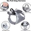 Taglory LED Dog Harness with AirTag Holder, No Pull Light Up Dog Vest for Night Walking, USB Rechargeable Pet Safety Harness with 2 Metal Clips, Adjustable Soft Vest for Small Dogs (Slate Gray, XS)