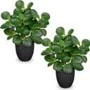 14.5" Artificial Plants Indoor Home Decor, Fake Potted Silk Plants for Shelves Living Room Decor, Small Artificial Office Desk Plants in Pots, Faux Peperomia Hope Tropical House Plant, Sets of 2
