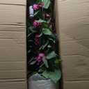 Erimda 5FT Artificial Bougainvillea Tree Artificial Tree Tall Potted Fake Bougainvillea Trees for Outdoor Indoor Lifelike Potted Faux Plants with Wood Trunk and Flowers Office Wedding Home Decor (Rose)