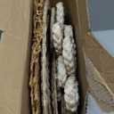 Glenmal Set of 13 Boho Wall Basket Decor Woven Rattan Flat Baskets Handmade Boho Wicker Bamboo Seagrass Wall Hanging Decor for Bedroom Living Room Dining Room Office Ready to Hang (Bohemian)