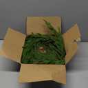 2 Pcs Christmas Garland with Lights 6 Ft, Real Touch Norfolk Pine Garland for Mantle, Christmas Decorations Indoor Outdoor for Wall Fireplace, Faux Greenery Cedar Garland Realistic for Table Decor