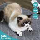 Cat Litter Mat Litter Trapping Mat, 24" x 17" Premium Durable PVC Grid Mesh with Scatter Control, Non-slip, Less Waste Cat Litter Box Mat, Soft on Kittys Paws, Urine Waterproof (Grey)