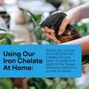 Grow More 0.2-0-0 EDDHA Iron Chelate for Greener Plants on Soils with pH of 7 or Above - 1lb of Water Soluble Chelated 6% Iron for Plants