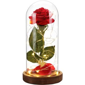 Valentines Day Gifts for Her,Beauty and The Beast Rose in Glass Dome,Lasts Forever Red Rose with LED Lights,Gifts for Women,Mom,Wife,Anniversary,Birthday, Wedding Home Decor