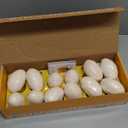 Dan&Darci Dig a Dozen Dino Egg Kit for Kids - Dinosaur Toys Gift 3-12 Year Old - 12 Eggs & Surprise Dinosaurs - Basket Stuffers - Science STEM Activities - Boy Toy Party Gifts for Boys & Girls